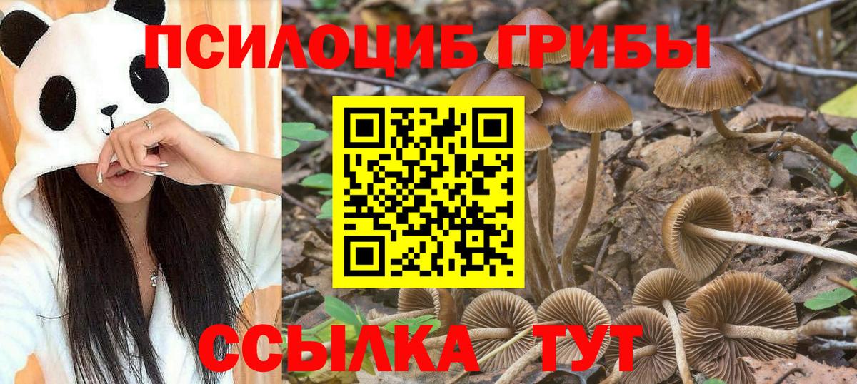 Галлюциногенные грибы прущие грибы  Вход с VPN  Улан-Удэ 